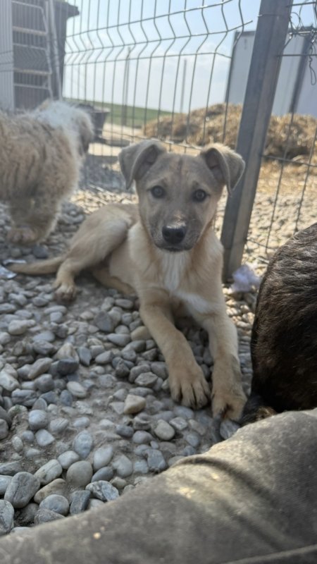 55d050e0 e89a 41f9 8ada 48185f7fa7c2