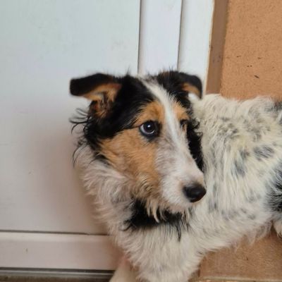 613186283 1480446646985600 3784001596111567640 n