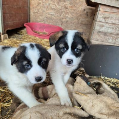 616073516 941585971671283 4088610055804170388 n