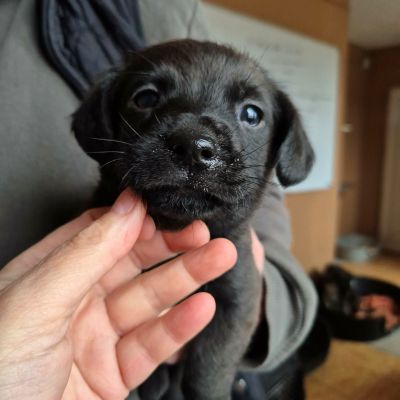 616664590 1604670920773931 5856926444137489172 n