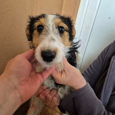 616884637 685092038026128 806959016901291211 n