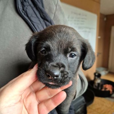 618590563 1328442085976949 4293864724266101564 n