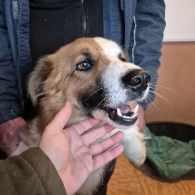 618685480 937789192128233 7711849079802945561 n