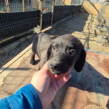 622759707 3475493659270095 3719849282608572097 n