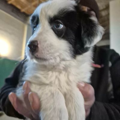 623865272 1236048648670232 5469724717743210498 n