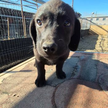 626276139 851464841285045 6162414897674677208 n