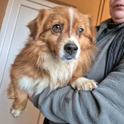 627512372 895145156622711 9131593426185828696 n