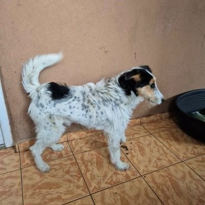 628221038 1423447252655975 4899289193960262419 n