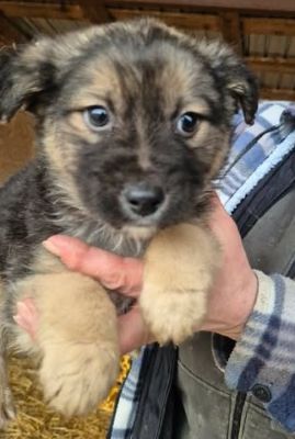 628934061 26064668786507035 6812553489581148007 n