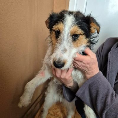 629306898 1463601881949872 300947053594675312 n