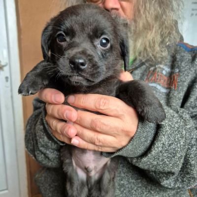 629635733 938205729159409 3610756856419754216 n