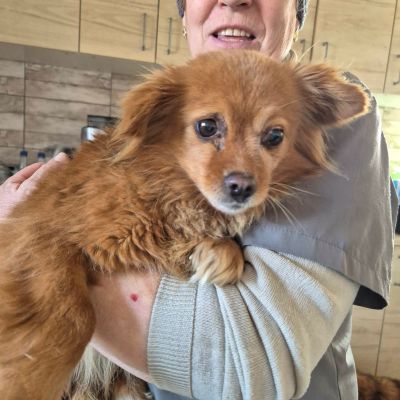 629656976 1975572706646807 4661795117274076023 n