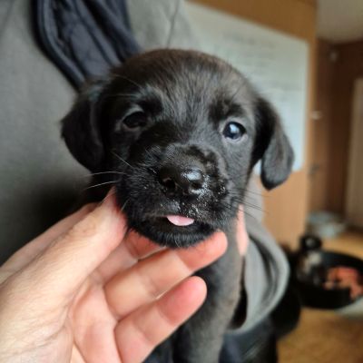 629741108 755604360604497 1428737633554129402 n