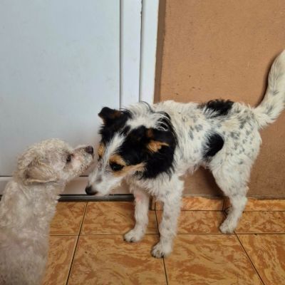 629889105 1986630368733965 49325798894355137 n