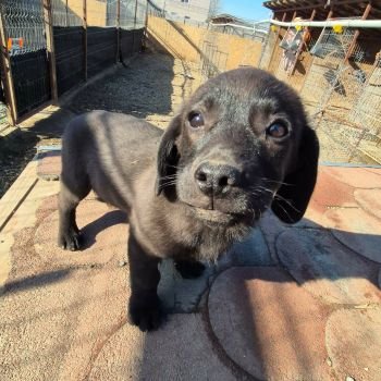 629973656 1859362471390519 9053747227488158526 n