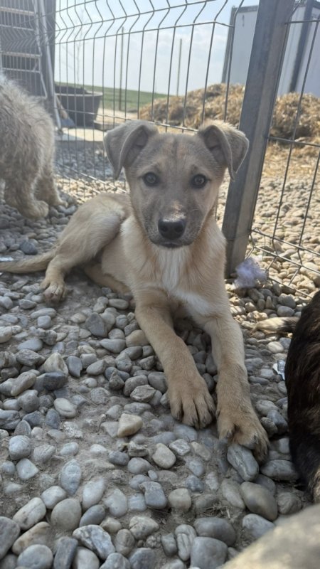 62a45205 4758 46b7 83a8 e2a9495c2582