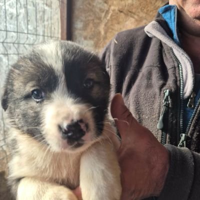 630156609 1641847200152356 5188543963041664623 n