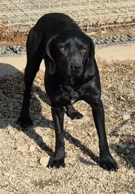 630167824 1307766157938433 534044918733406943 n