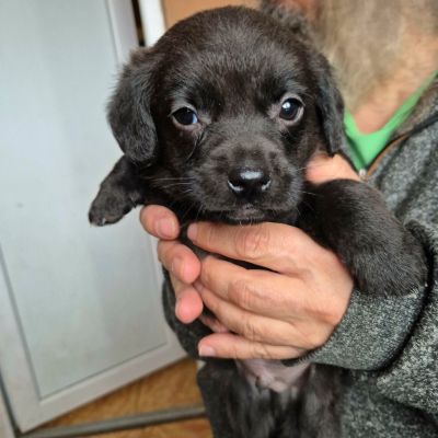 630399752 1582257163012111 6006544599990224459 n