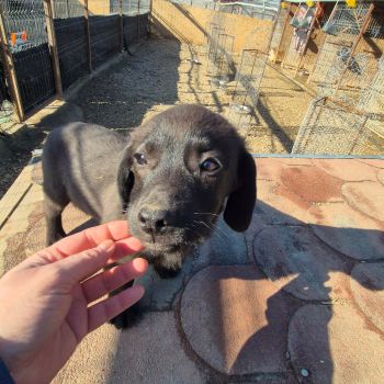 630408802 2275339489903729 5458858217954358651 n