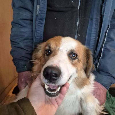 631279177 1571708060614220 6313435806305500800 n