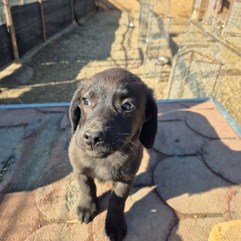 631312680 1286715900021060 4960849694746181338 n