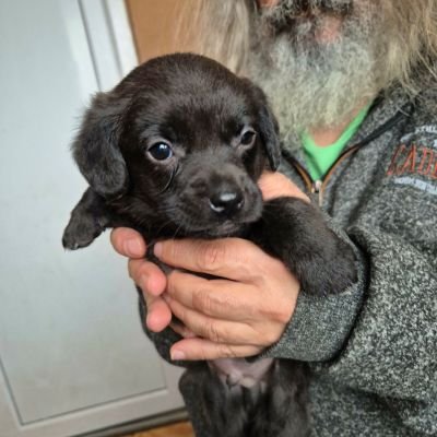 631443750 2097375334372850 2396368990234341902 n