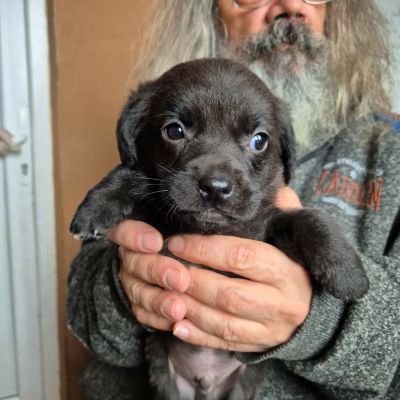 631447146 793900249816620 82976865879083018 n