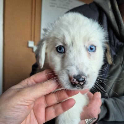 631511960 1221205600191588 5159982336922683253 n