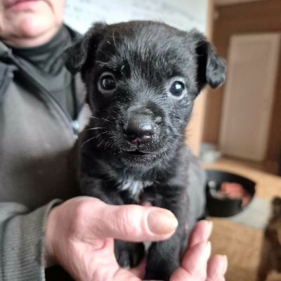 631518832 2088737831977627 106399706261527677 n