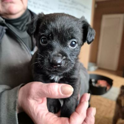 632619221 1579672309971766 9218111192981368041 n