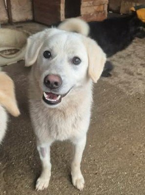 633472688 26007670078873573 8220468533233811767 n