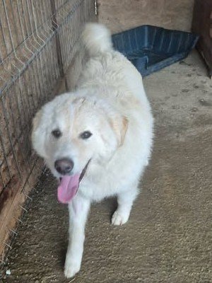 633923572 26007562875550960 2409158229435754529 n