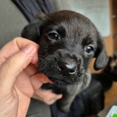 633967882 1693061028344553 7336856595380591946 n