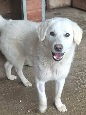 634060338 26007670918873489 6353025335396718362 n