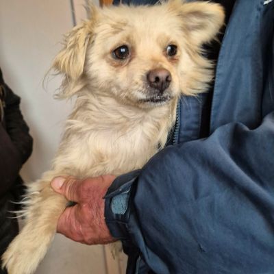 634212843 1459369952214018 6687128739638906319 n