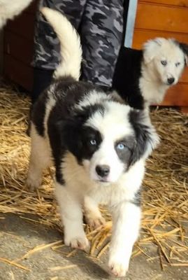 634390423 1824220468255332 332806162606948354 n