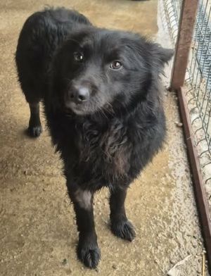 634734176 26007727558867825 7668222097869183654 n