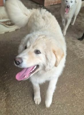 634845097 26007562662217648 7142888926487532499 n