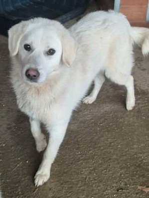 634934324 26007670085540239 514528725802245661 n