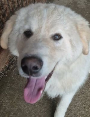 635133228 26007562432217671 1210892767730203924 n