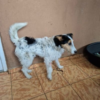 635165599 916632284666124 8932243752932944946 n