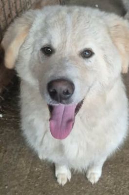 635565188 26007562845550963 8300449286706090965 n