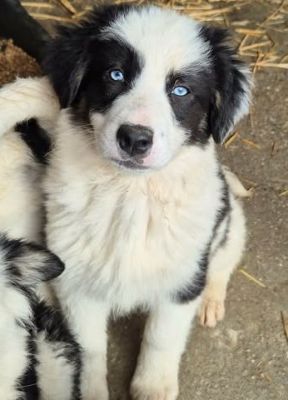 636719182 1201103921886404 730547055076722954 n