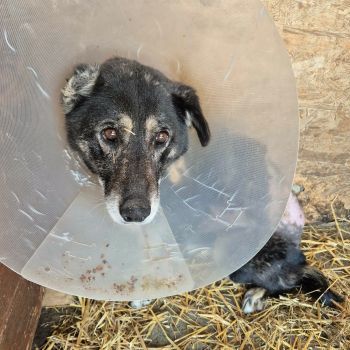 636785925 936592798966720 5223843868085112792 n