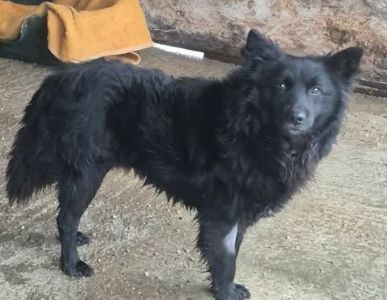 637123129 26007726852201229 6083281770189374231 n