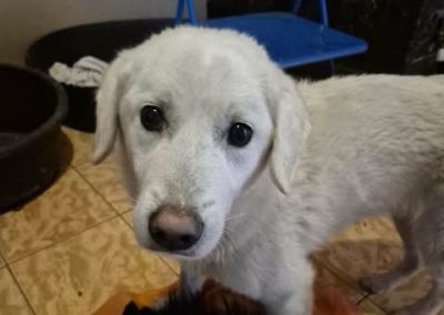 637411001 26007670958873485 7912598868853290013 n