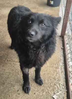 637552685 26007727105534537 8566895863446749861 n