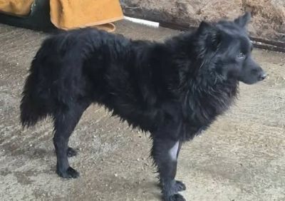 637721895 26007727055534542 857002547777080259 n