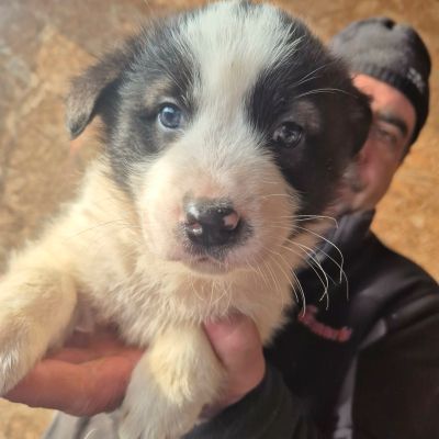 637767227 934862638917871 6749838945898800675 n